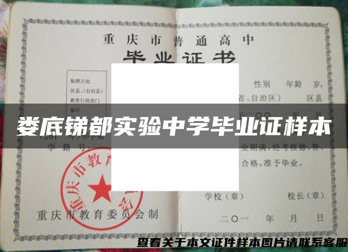 婁底銻都實驗中學畢業證樣本