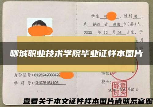 聊城職業技術學院畢業證樣本圖片