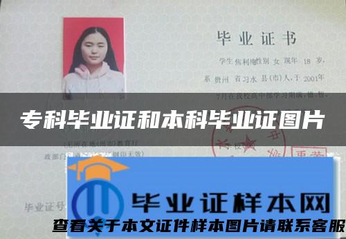 ?？飘厴I證和本科畢業證圖片
