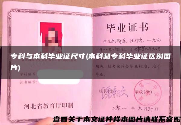 ?？婆c本科畢業證尺寸(本科和?？飘厴I證區別圖片)