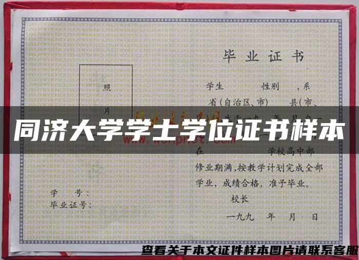 同濟大學學士學位證書樣本