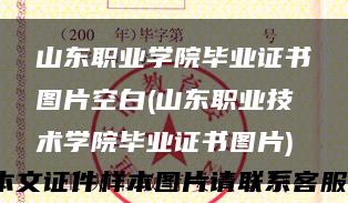 山東職業學院畢業證書圖片空白(山東職業技術學院畢業證書圖片)