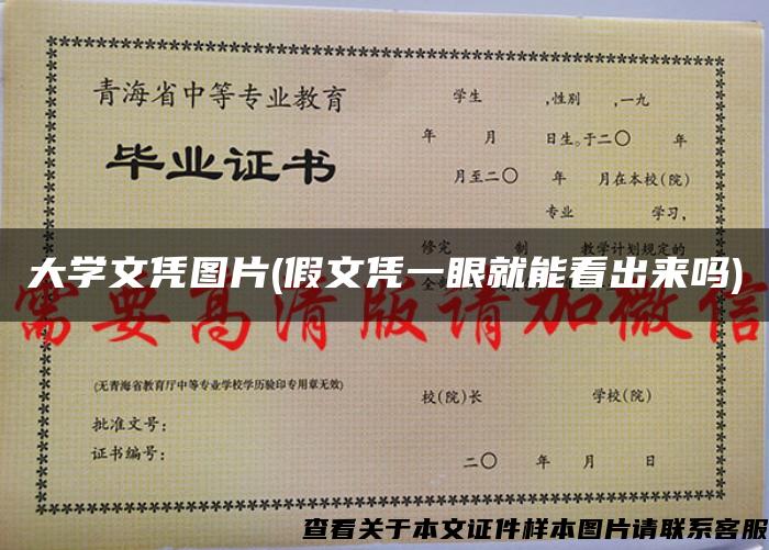 大學文憑圖片(假文憑一眼就能看出來嗎)