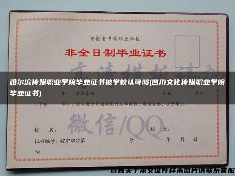 哈爾濱傳媒職業學院畢業證書被學校認可嗎(四川文化傳媒職業學院畢業證書)