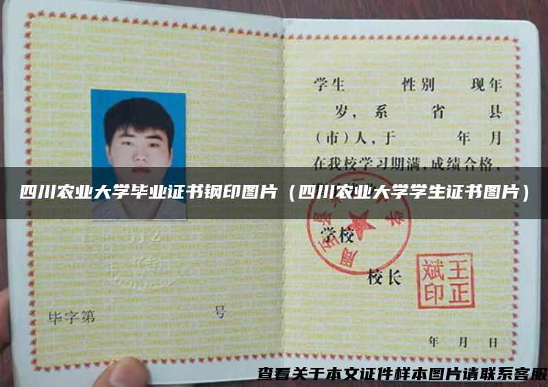 四川農業大學畢業證書鋼印圖片（四川農業大學學生證書圖片）