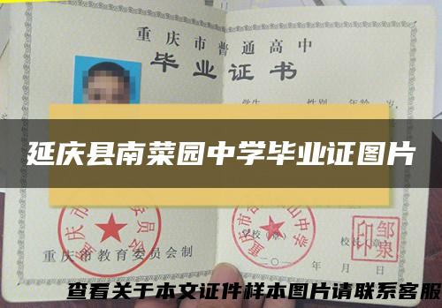 延慶縣南菜園中學畢業證圖片