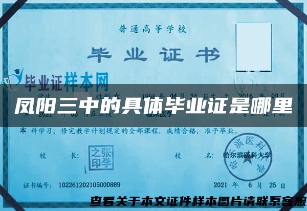 鳳陽三中的具體畢業證是哪里