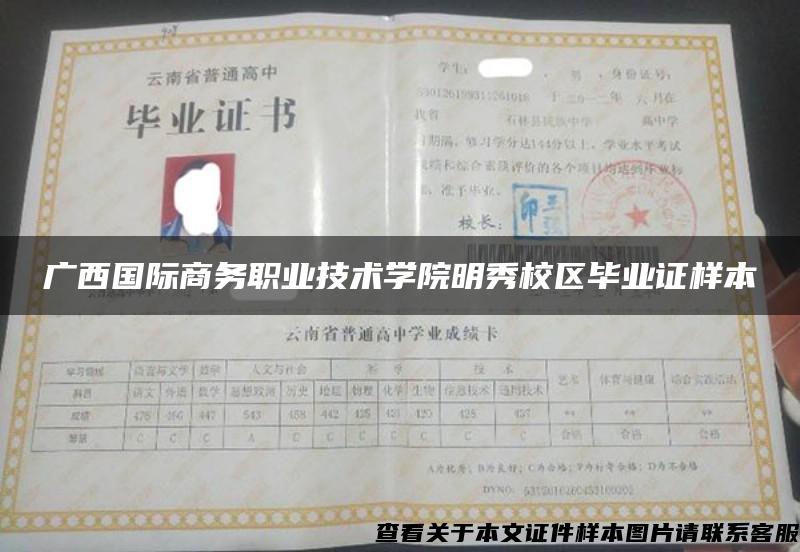 廣西國際商務職業技術學院明秀校區畢業證樣本
