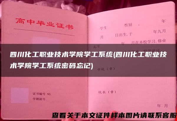 四川化工職業技術學院學工系統(四川化工職業技術學院學工系統密碼忘記)