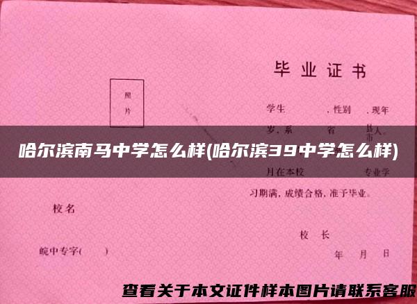 哈爾濱南馬中學怎么樣(哈爾濱39中學怎么樣)