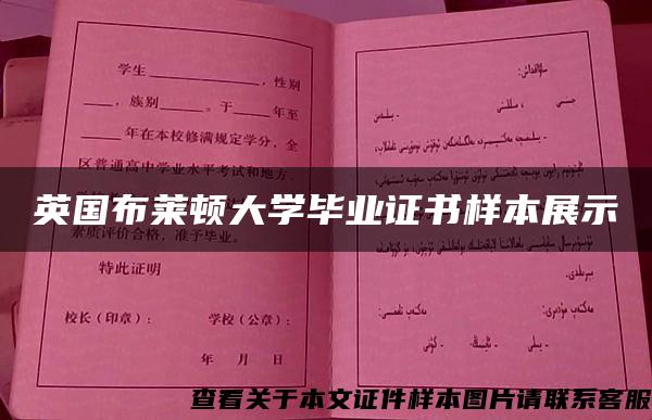 英國布萊頓大學畢業證書樣本展示