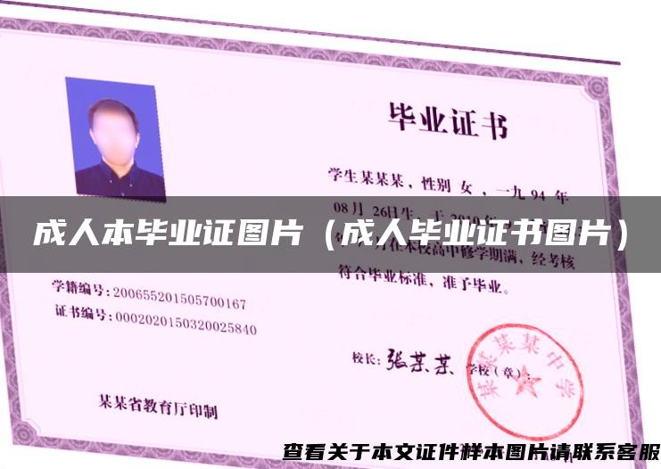 成人本畢業證圖片（成人畢業證書圖片）