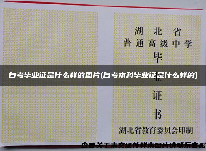 自考畢業證是什么樣的圖片(自考本科畢業證是什么樣的)