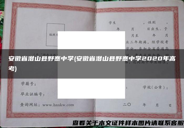 安徽省潛山縣野寨中學(安徽省潛山縣野寨中學2020年高考)