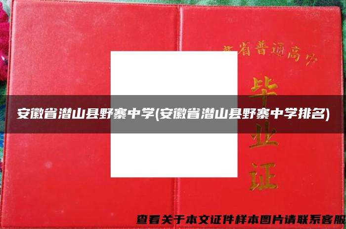 安徽省潛山縣野寨中學(安徽省潛山縣野寨中學排名)
