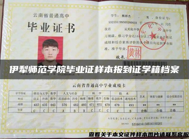 伊犁師范學院畢業證樣本報到證學籍檔案