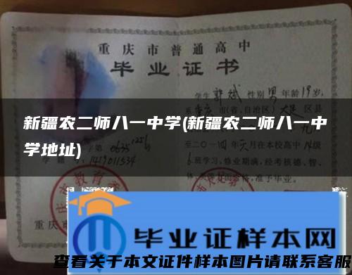新疆農二師八一中學(新疆農二師八一中學地址)