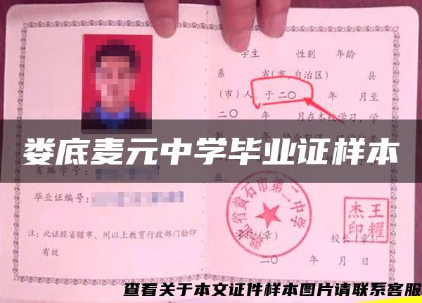 婁底麥元中學畢業證樣本