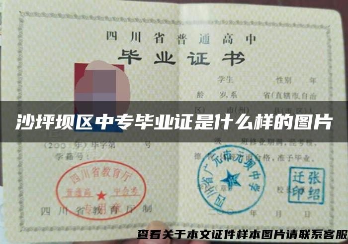 沙坪壩區中專畢業證是什么樣的圖片