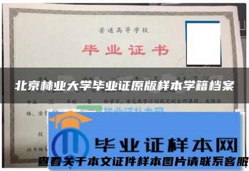 北京林業大學畢業證原版樣本學籍檔案