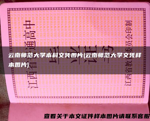 云南師范大學本科文憑圖片(云南師范大學文憑樣本圖片)