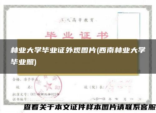 林業大學畢業證外觀圖片(西南林業大學畢業照)