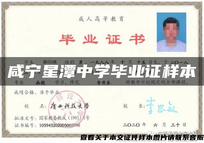咸寧星潭中學畢業證樣本