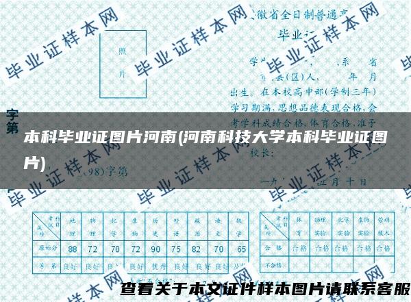 本科畢業證圖片河南(河南科技大學本科畢業證圖片)