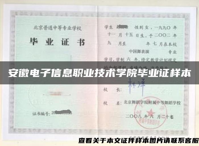 安徽電子信息職業技術學院畢業證樣本