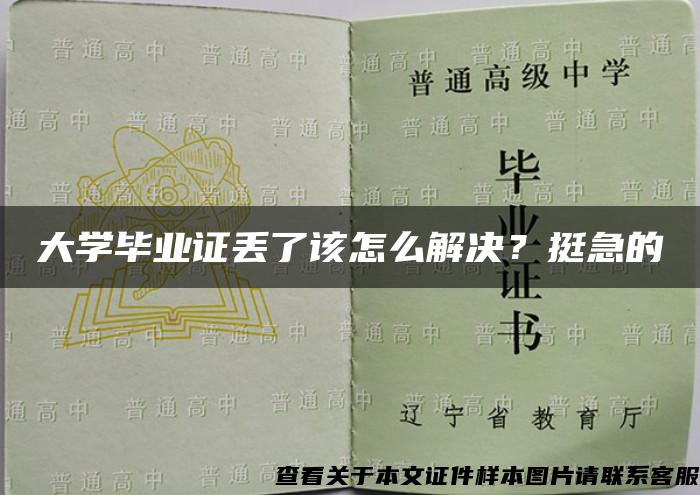 大學畢業證丟了該怎么解決？挺急的