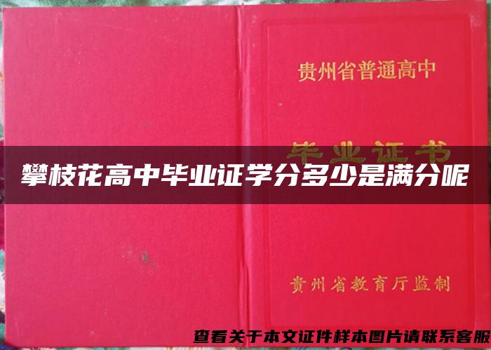 攀枝花高中畢業證學分多少是滿分呢