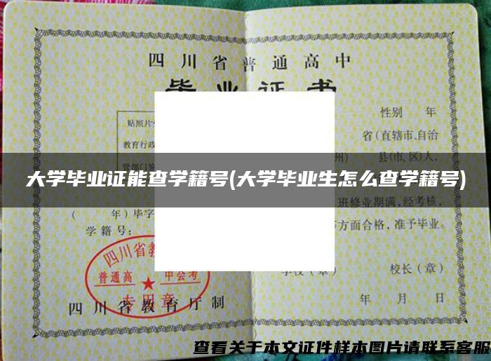 大學畢業證能查學籍號(大學畢業生怎么查學籍號)