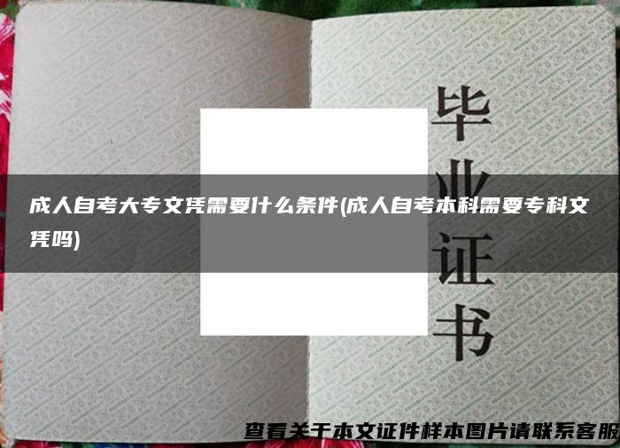 成人自考大專文憑需要什么條件(成人自考本科需要?？莆膽{嗎)