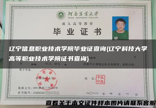 遼寧信息職業技術學院畢業證查詢(遼寧科技大學高等職業技術學院證書查詢)