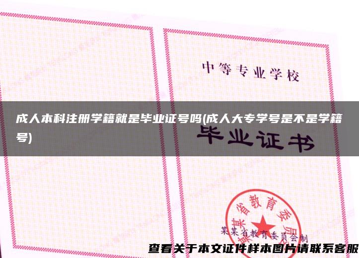 成人本科注冊學籍就是畢業證號嗎(成人大專學號是不是學籍號)