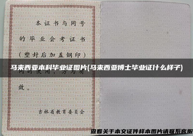 馬來西亞本科畢業證圖片(馬來西亞博士畢業證什么樣子)
