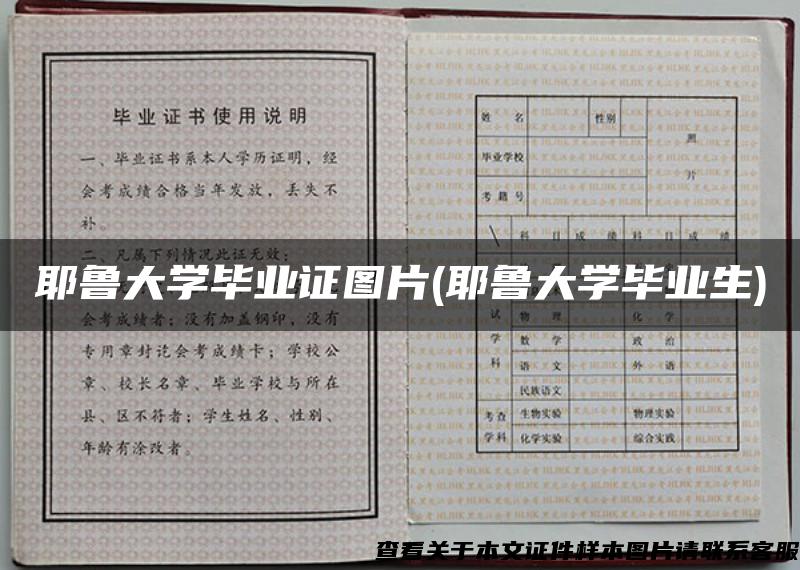 耶魯大學畢業證圖片(耶魯大學畢業生)