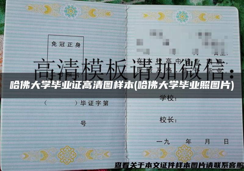 哈佛大學畢業證高清圖樣本(哈佛大學畢業照圖片)