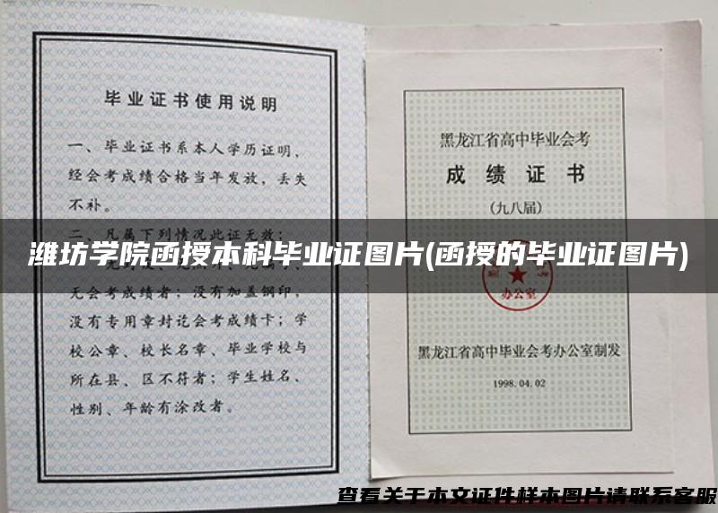 濰坊學院函授本科畢業證圖片(函授的畢業證圖片)