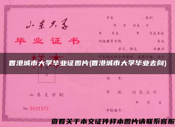 香港城市大學畢業證圖片(香港城市大學畢業去向)