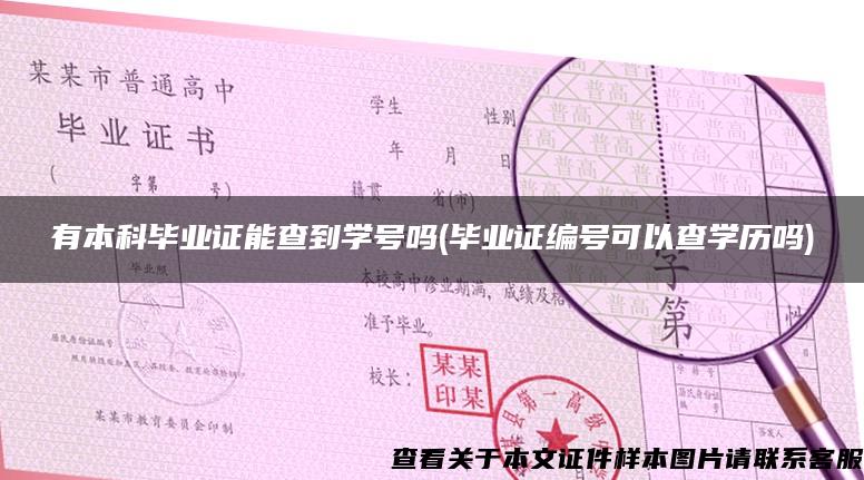 有本科畢業證能查到學號嗎(畢業證編號可以查學歷嗎)