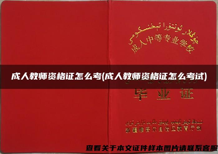 成人教師資格證怎么考(成人教師資格證怎么考試)