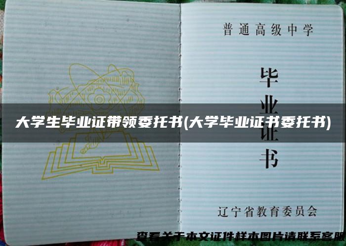 大學生畢業證帶領委托書(大學畢業證書委托書)