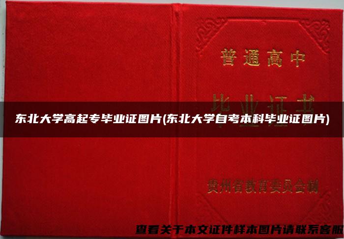 東北大學高起專畢業證圖片(東北大學自考本科畢業證圖片)