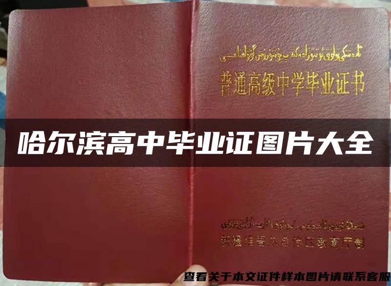 哈爾濱高中畢業證圖片大全