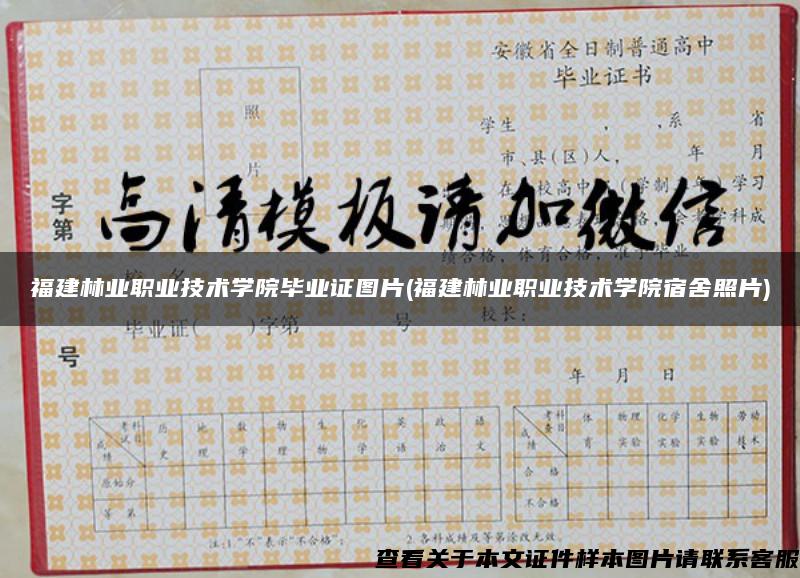 福建林業職業技術學院畢業證圖片(福建林業職業技術學院宿舍照片)