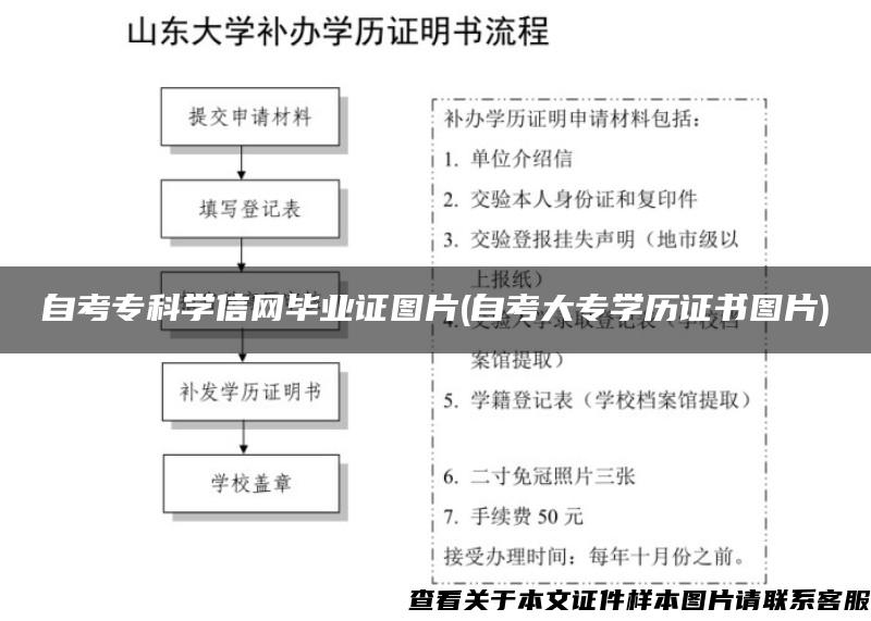 自考?？茖W信網畢業證圖片(自考大專學歷證書圖片)