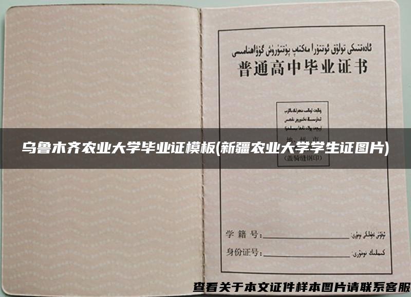 烏魯木齊農業大學畢業證模板(新疆農業大學學生證圖片)