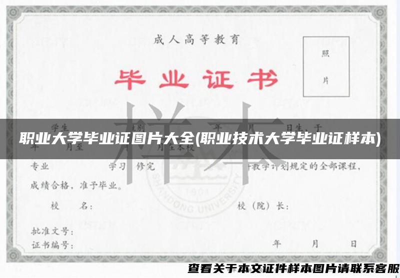 職業大學畢業證圖片大全(職業技術大學畢業證樣本)