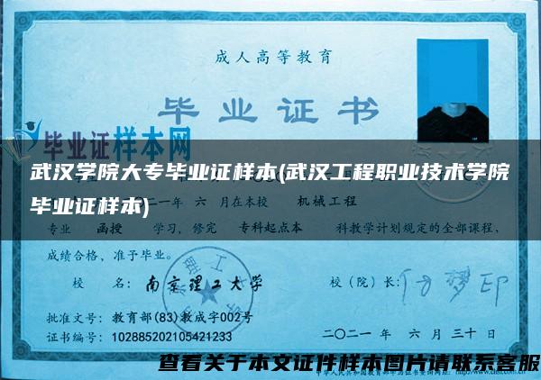 武漢學院大專畢業證樣本(武漢工程職業技術學院畢業證樣本)